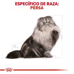 masqrotas_pet_croqueta_royal_canin_persian-adult_.jpeg