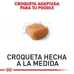 masqrotas_pet_croqueta_royal_canin_poodle_.jpeg