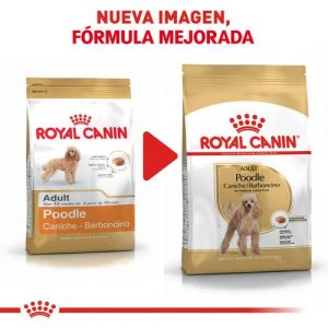 masqrotas_pet_croqueta_royal_canin_poodle_.jpeg