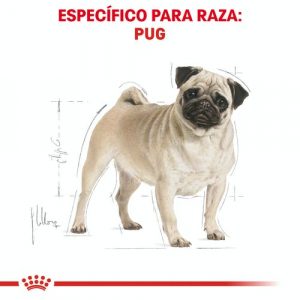 masqrotas_pet_croqueta_royal_canin_pug-adult_.jpeg