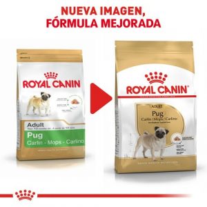 masqrotas_pet_croqueta_royal_canin_pug-adult_.jpeg