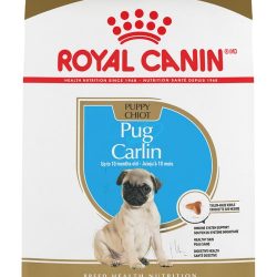 masqrotas_pet_croqueta_royal_canin_pug-puppy_.jpeg