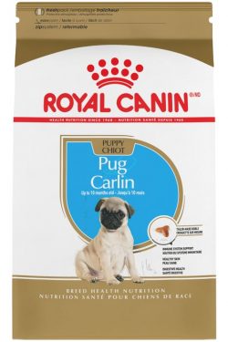 masqrotas_pet_croqueta_royal_canin_pug-puppy_.jpeg