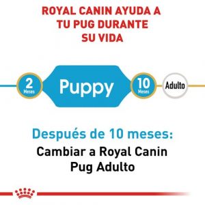 masqrotas_pet_croqueta_royal_canin_pug-puppy_.jpeg