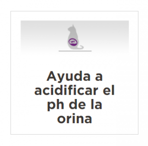 masqrotas_pet_croqueta_purina_proplan_urinary_gato_.png