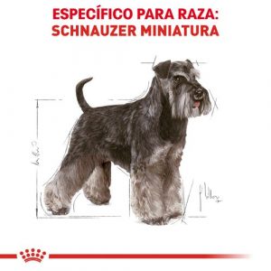 masqrotas_pet_croqueta_royal_canin_schnauzer-adult_.jpeg