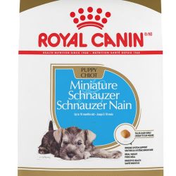 masqrotas_pet_croqueta_royal_canin_schnauzer-puppy_.jpeg