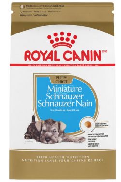 masqrotas_pet_croqueta_royal_canin_schnauzer-puppy_.jpeg