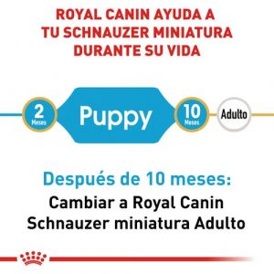 masqrotas_pet_croqueta_royal_canin_schnauzer-puppy_.jpeg