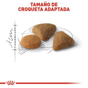 masqrotas_pet_croqueta_royal_canin_selective-savior-sensation_.jpeg