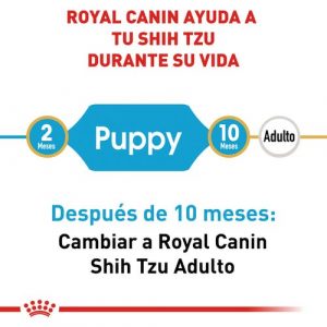 masqrotas_pet_croqueta_royal_canin_shih-tzu-puppy_.jpeg