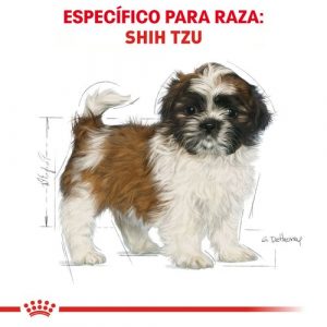 masqrotas_pet_croqueta_royal_canin_shih-tzu-puppy_.jpeg