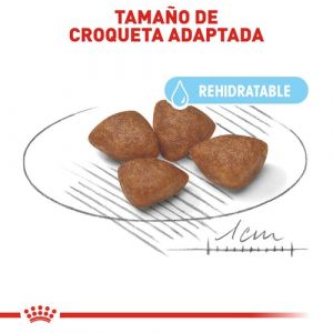 masqrotas_pet_croqueta_royal_canin_small-starter_.jpg