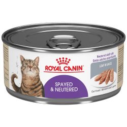 masqrotas_pet_lata_royal_canin_spayedneutered-wet_.jpeg