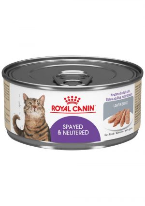 masqrotas_pet_lata_royal_canin_spayedneutered-wet_.jpeg