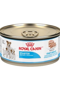 masqrotas_pet_lata_royal_canin_starter-mousse_.jpeg