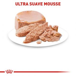 masqrotas_pet_lata_royal_canin_starter-mousse_.jpeg