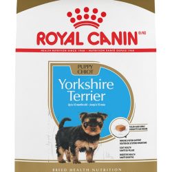 masqrotas_pet_croqueta_royal_canin_yorkshire-terrier-puppy_.jpeg
