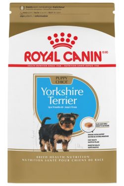 masqrotas_pet_croqueta_royal_canin_yorkshire-terrier-puppy_.jpeg