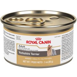 masqrotas_pet_lata_royal_canin_yorkshire-terrier-wet_.jpeg