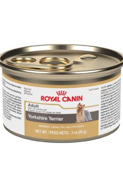 masqrotas_pet_lata_royal_canin_yorkshire-terrier-wet_.jpeg