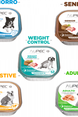 masqrotas_nupec_humedo_alimento_para_perro