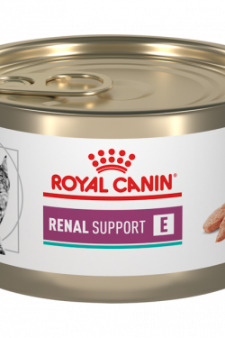masqrotas_royal_canin_renal_support_e_feline