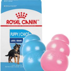 masqrotas_pet_croqueta_royal_canin_large_puppy_.jpg