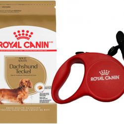 Kit_Salchicha_masqrotas_royal_canin_.jpg