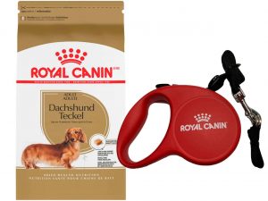 Kit_Salchicha_masqrotas_royal_canin_.jpg