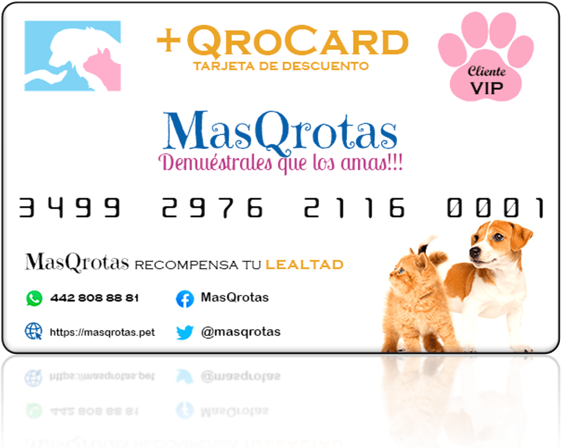 registro_lealtad_mascrotas-card