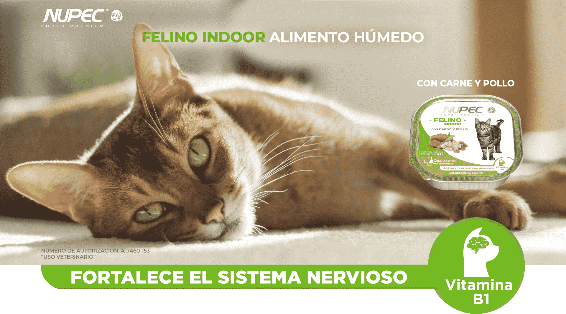 masqrotas_pet_croqueta_nupec_felino_indoor_humedo_.png