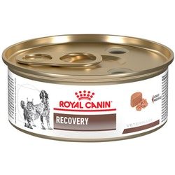 masqrotas_pet_croqueta_royal_canin_recovery_lata_.jpeg