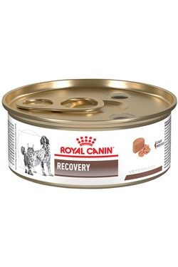 masqrotas_pet_croqueta_royal_canin_recovery_lata_.jpeg