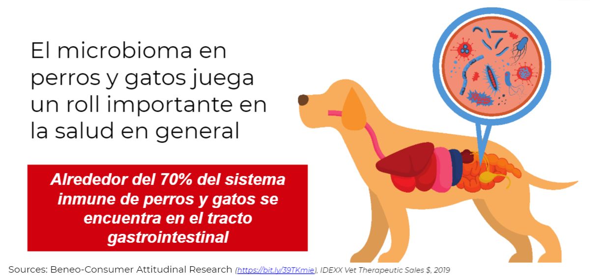 masqrotas_pet_croqueta_hills_science_diet_perfect_digestion_canine_.png