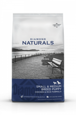 masqrotas_diamond_small_&_medium_breed_puppy