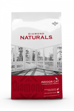 masqrotas_diamond_indoor_cat
