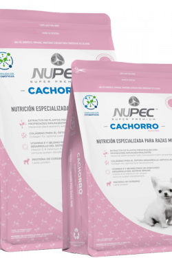 masqrotas_nupec_cachorro_raza_mini