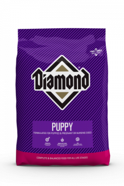 masqrotas_diamond_puppy