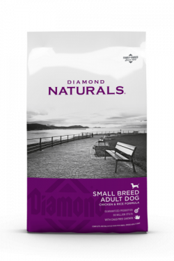 masqrotas_diamond_small-breed-adult