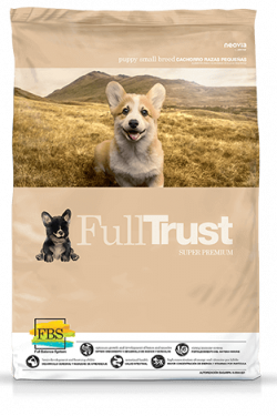 fulltrust_cachorro_razas_pequenas