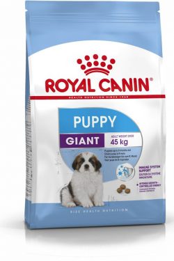 giant_puppy_masqrotas