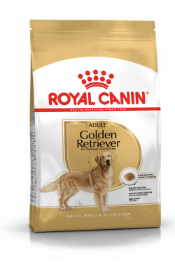 golden_retriever_adult_masqrotas