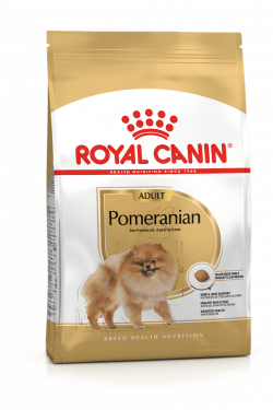 pomeranian_adult_masqrotas