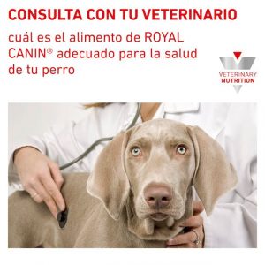 urinary-so-small-dog-royal-canin-masqrotas