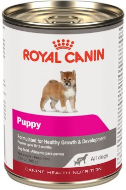 masqrotas_royal_canin_puppy_loaf_all_dogs_lata