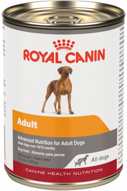 MasQrotas_Adult_All_Dogs_Wet