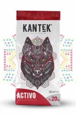 masqrotas_kantek_activo
