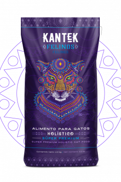 masqrotas_kantek_felino