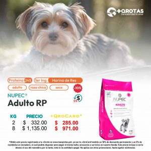 masqrotas_nupec_adulto_razas_pequeñas